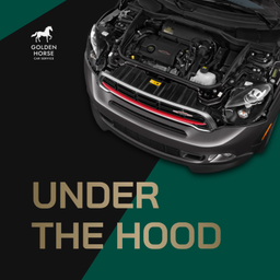 Podcast thumbnail for Under the Hood
