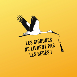 Podcast thumbnail for Les Cigognes ne livrent pas les bébés