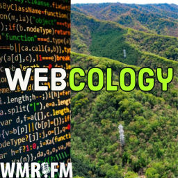 Podcast thumbnail for Webcology