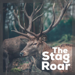 Podcast thumbnail for The Stag Roar: Life Less Ordinary