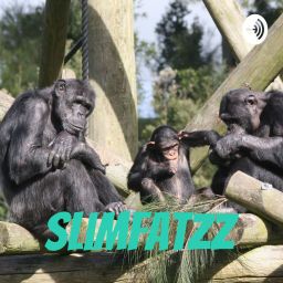 Podcast thumbnail for slimFATZZ Podcast