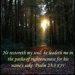 Podcast thumbnail for Paths of Righteousness