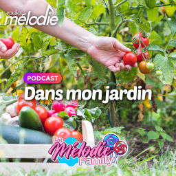 Podcast thumbnail for Dans mon jardin - Radio Mélodie