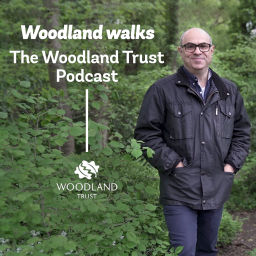 Podcast thumbnail for Woodland Walks - The Woodland Trust Podcast