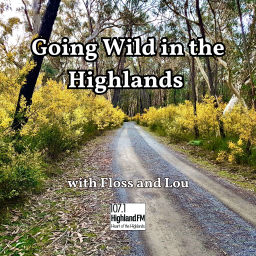 Podcast thumbnail for Going Wild in the Highlands