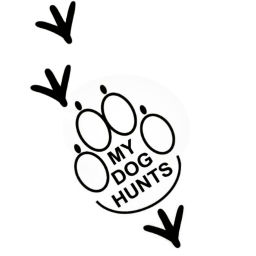 Podcast thumbnail for My Dog Hunts - Upland Birds