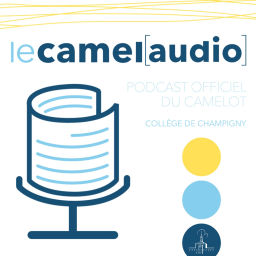 Podcast thumbnail for Le Camel[audio]