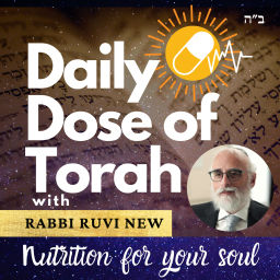 Podcast thumbnail for Daily Dose Of Torah