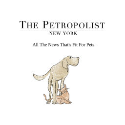 Podcast thumbnail for Petropolist