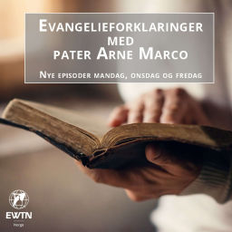 Podcast thumbnail for Evangelieforklaringer med pater Arne Marco