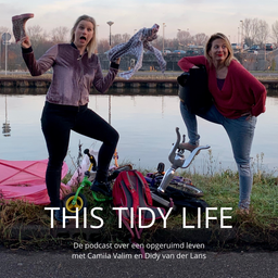 Podcast thumbnail for This Tidy Life - de podcast over een opgeruimd leven