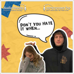 Podcast thumbnail for Don't You Hate it When...