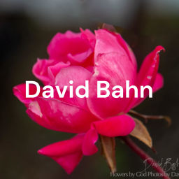 Podcast thumbnail for David Bahn - Reflections