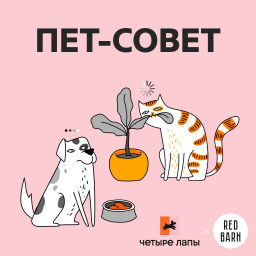 Podcast thumbnail for Пет-совет