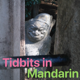 Podcast thumbnail for Tidbits in Mandarin