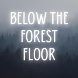 Podcast thumbnail for Below The Forest Floor
