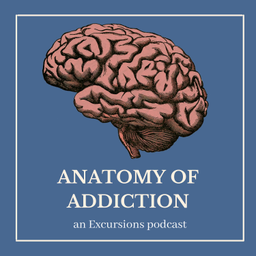Podcast thumbnail for Anatomy of Addiction