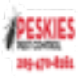 Podcast thumbnail for Peskies Pest Control Birmingham Alabama Podcast
