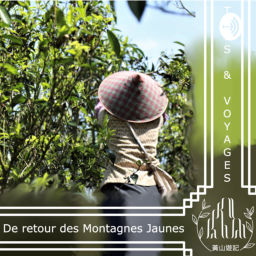 Podcast thumbnail for De retour des montagnes jaunes