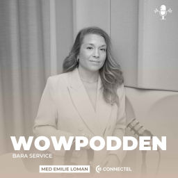 Podcast thumbnail for Wowpodden - Bara service