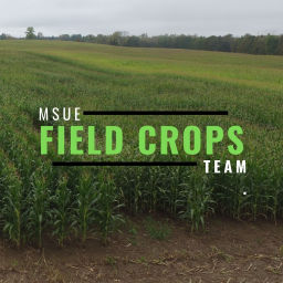 Podcast thumbnail for Michigan Field Crops