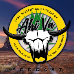Podcast thumbnail for Ahi Va