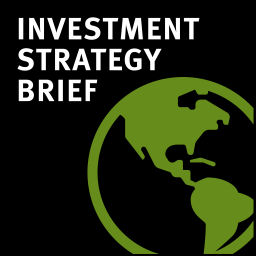 Podcast thumbnail for Stifel Investment Strategy Brief Podcast