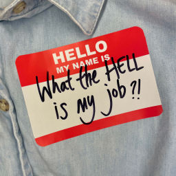 Podcast thumbnail for What The Hell Is My Job?!