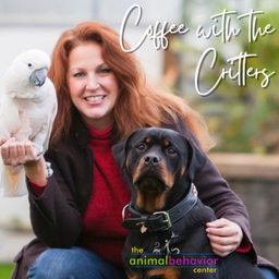 Podcast thumbnail for Coffee with the Critters