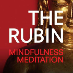 Podcast thumbnail for Mindfulness Meditation Podcast