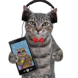 Podcast thumbnail for Cat Comedy! Life with Bucky - World’s Most Amazing Cat !