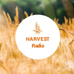 Podcast thumbnail for Harvest Focus