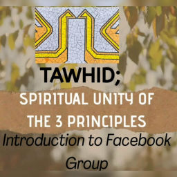Podcast thumbnail for Tawhid's podcast