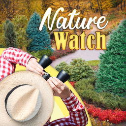 Podcast thumbnail for Nature Watch