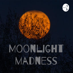 Podcast thumbnail for Moonlight madness