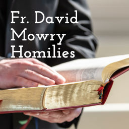 Podcast thumbnail for Fr. David Mowry Homilies