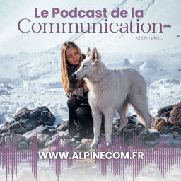 Podcast thumbnail for Le podcast de la communication ✨