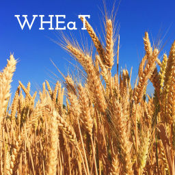 Podcast thumbnail for WHEaT - Where Heaven and Earth are Touching