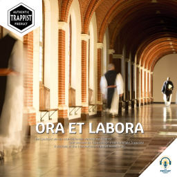 Podcast thumbnail for ORA ET LABORA