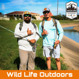 Podcast thumbnail for Wild Life Outdoors