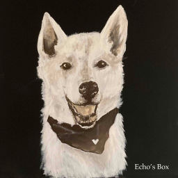 Podcast thumbnail for Echo’s Box