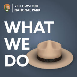 Podcast thumbnail for What We Do