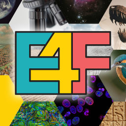Podcast thumbnail for Evidence 4 Faith