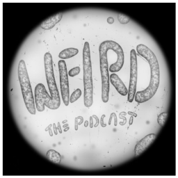 Podcast thumbnail for Weird: The Podcast