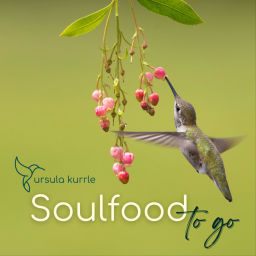 Podcast thumbnail for Soulfood to go