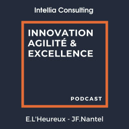 Podcast thumbnail for Innovation, Agilité et Excellence