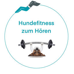Podcast thumbnail for Hundefitness zum Hören