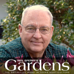 Podcast thumbnail for Neil Sperry's GARDENS