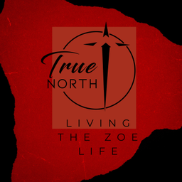 Podcast thumbnail for Living The Zoe Life