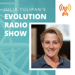 Podcast thumbnail for Julia Tulipans' Evolution Radio Show